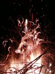 Fuoco di Sant'Abate - 2023 - foto di Adriana Grosso