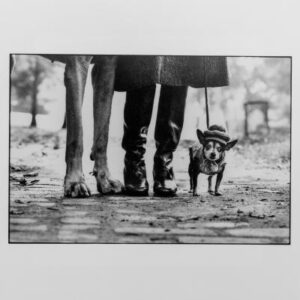 Elliott Erwitt - fotografo